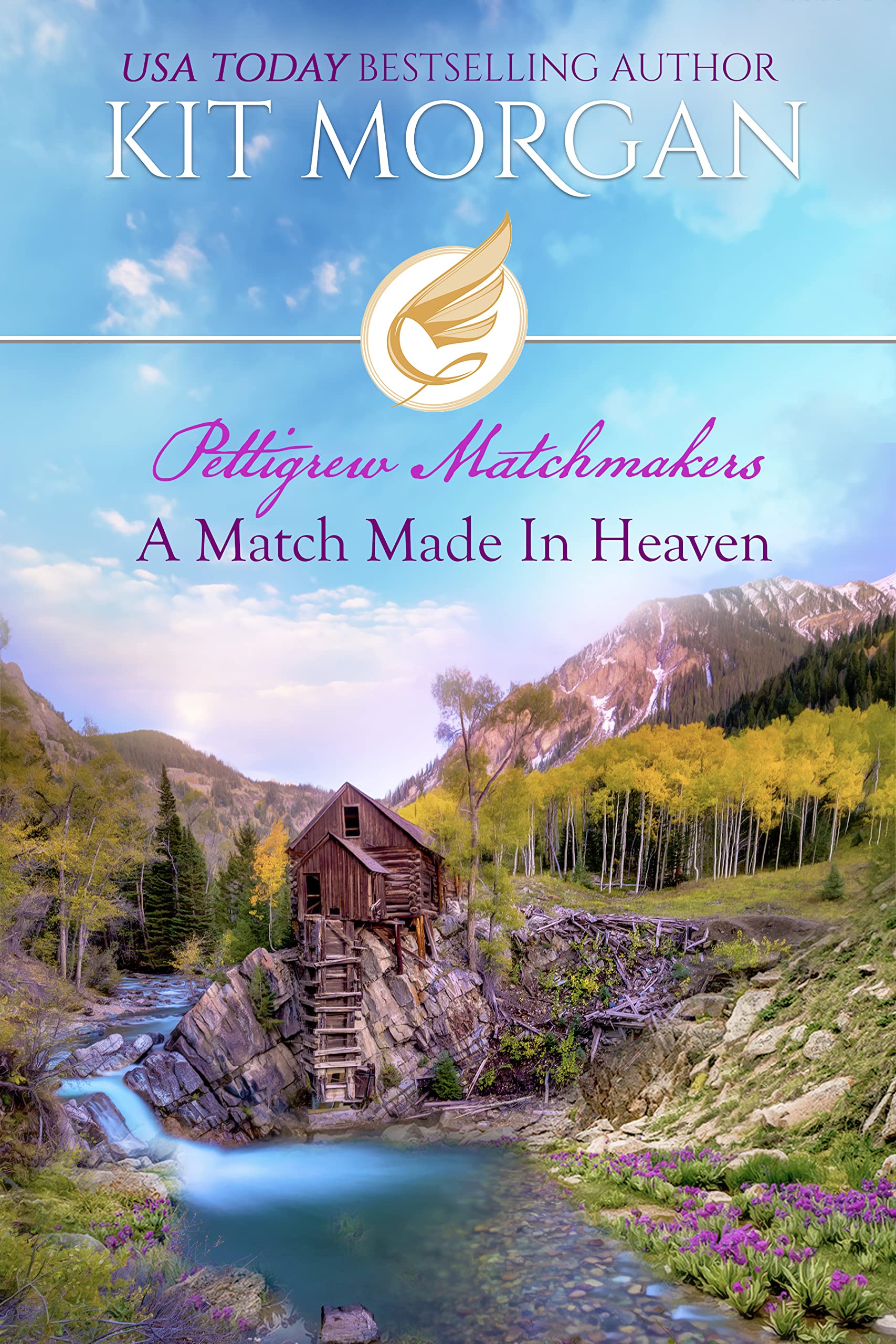 Pettigrew Matchmakers book cover 1