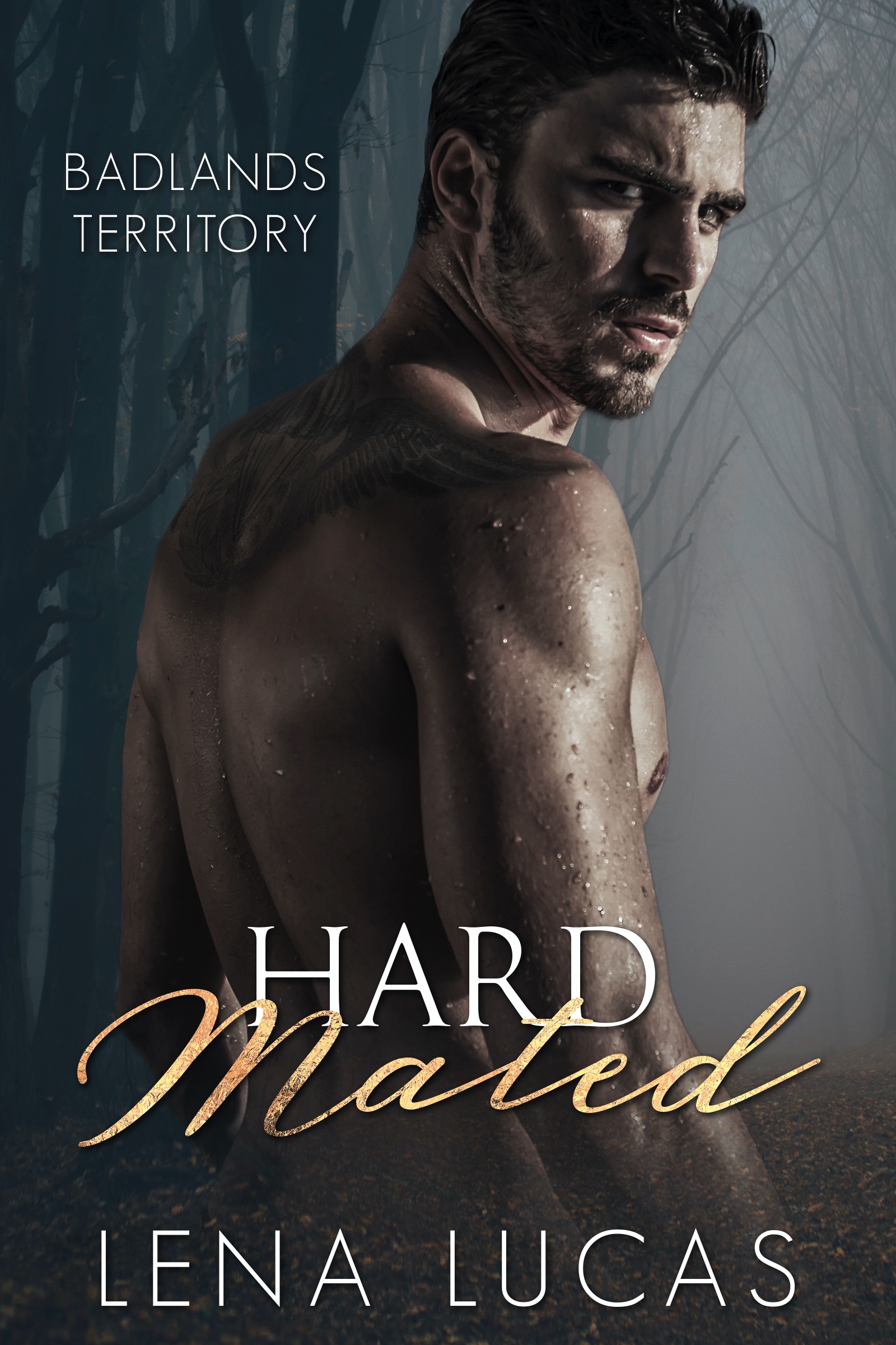 Hard Mated book cover