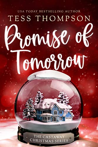 Castaway Christmas book cover 2