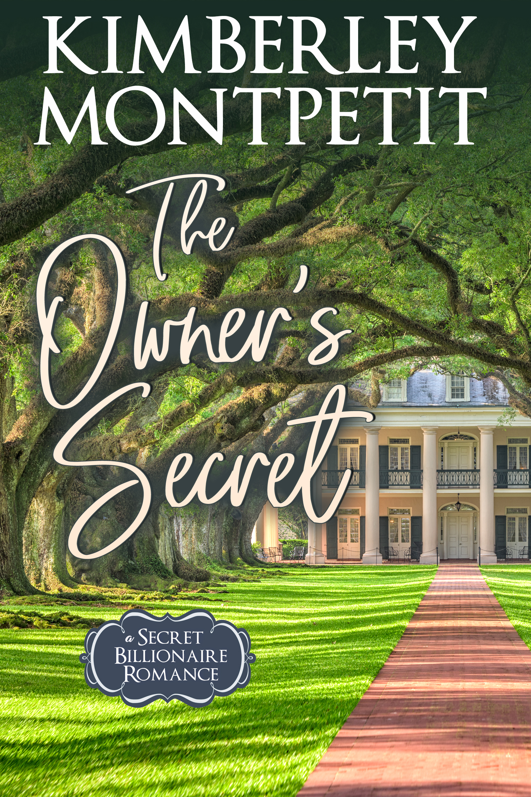 The Owner's Secret book cover
