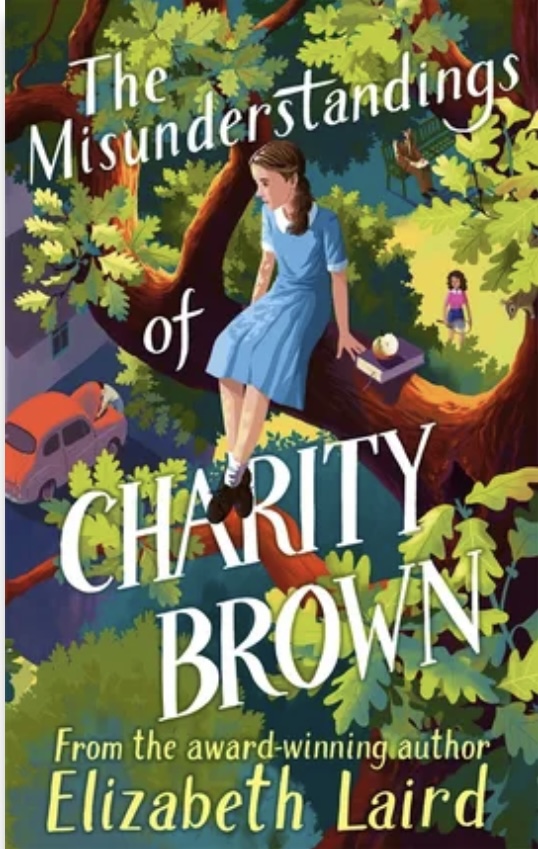 The Misunderstandings of Charity Brown book cover