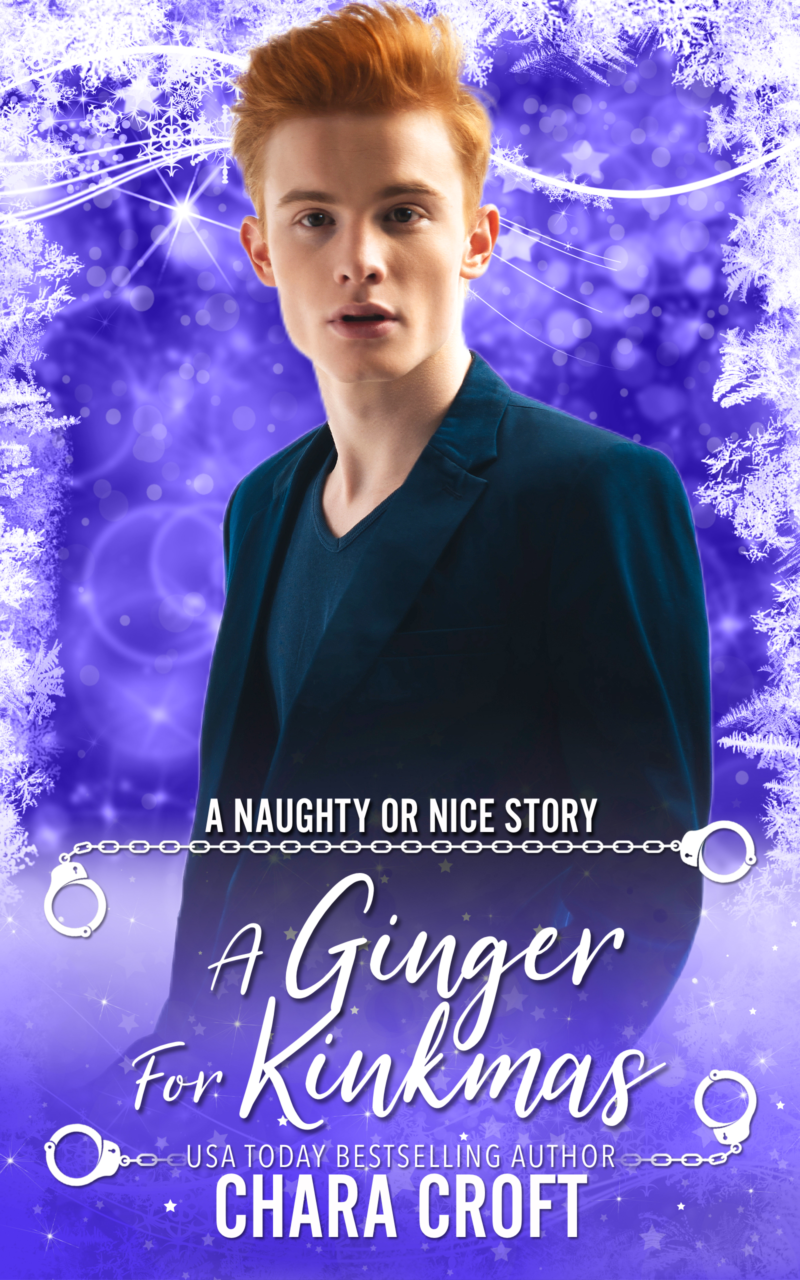 Naughty or Nice Season Three book cover 1