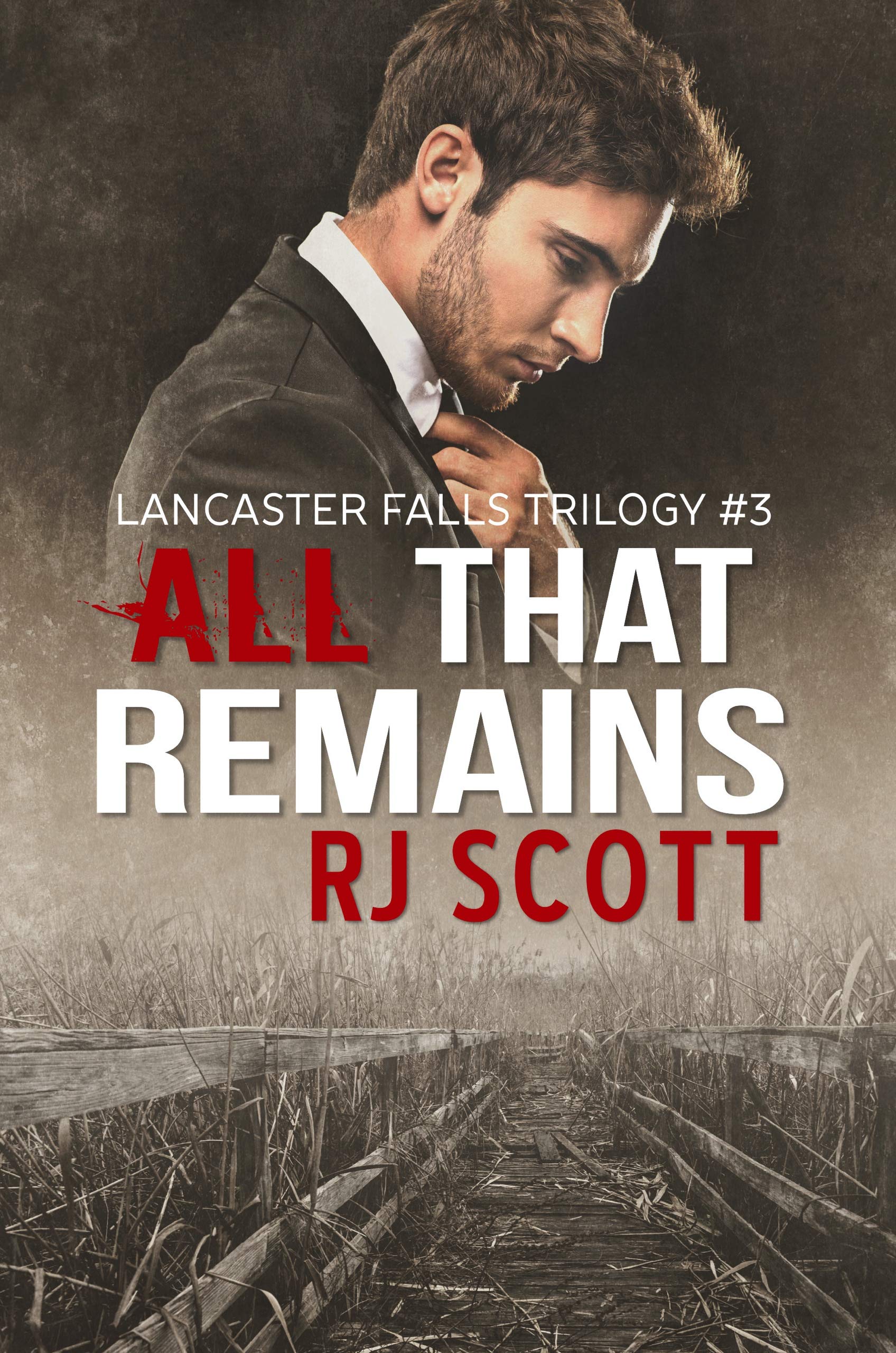 Lancaster Falls Trilogy book cover 3