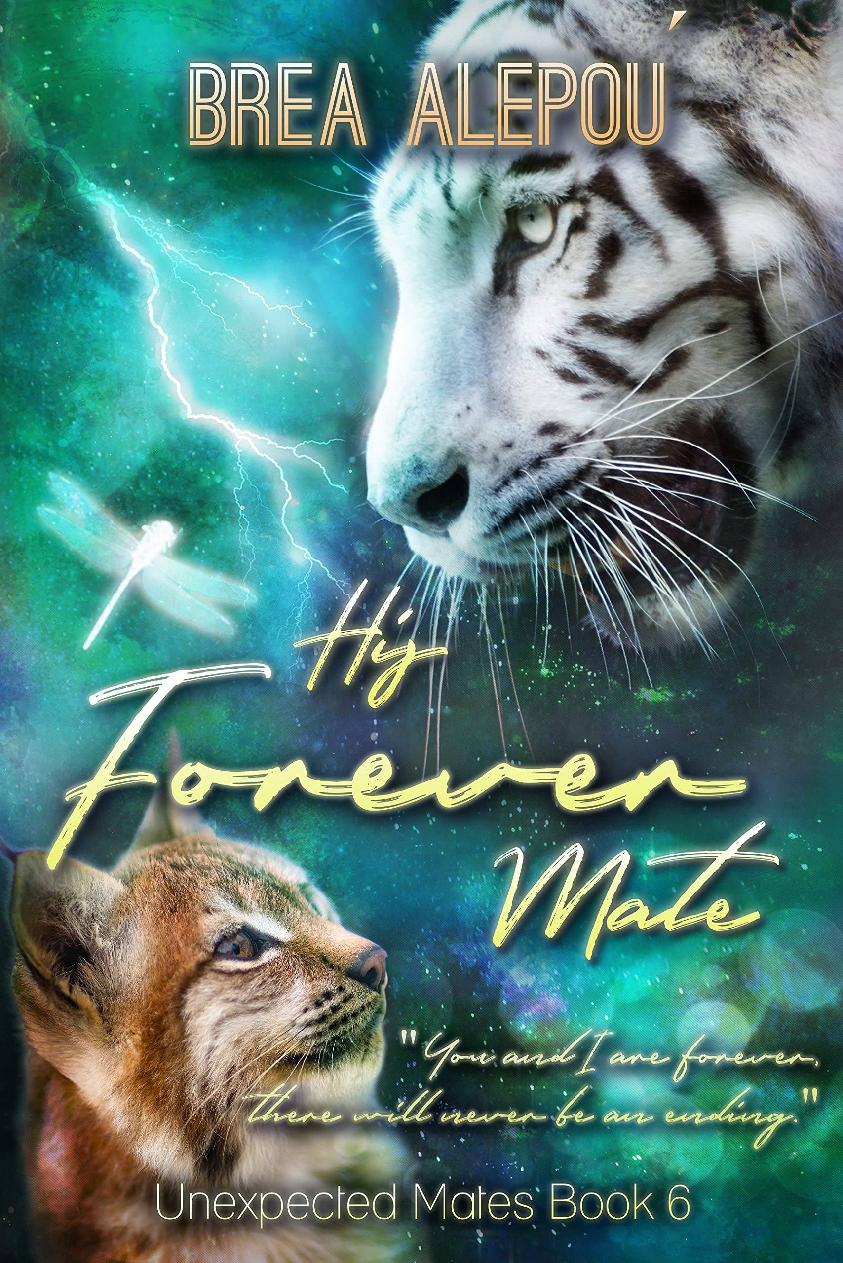 His Forever Mate book cover