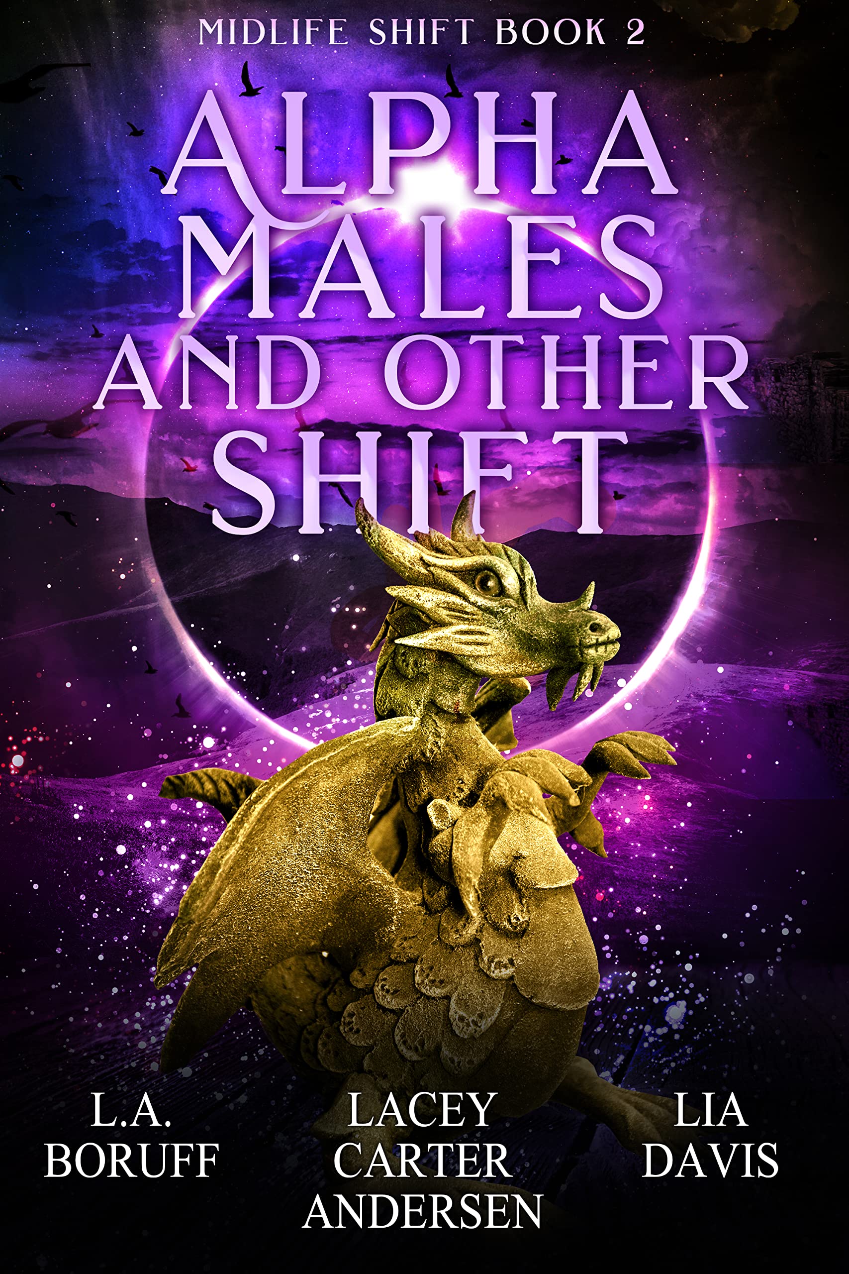 Shifting Into Midlife book cover 2