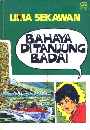 Fünf Freunde Folgeserie book cover 3