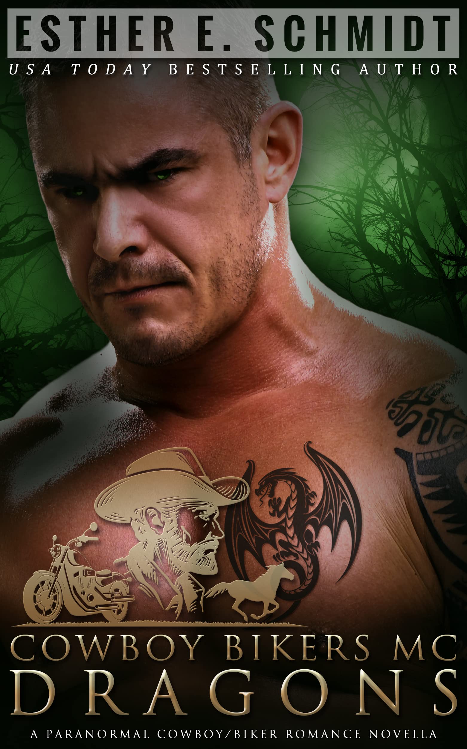 Cowboy Bikers MC book cover