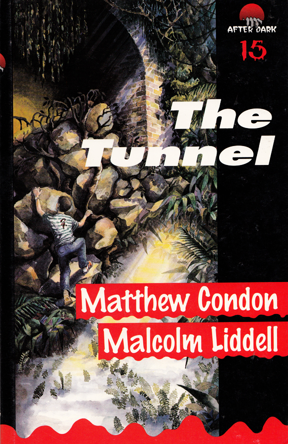 The Tunnel book cover