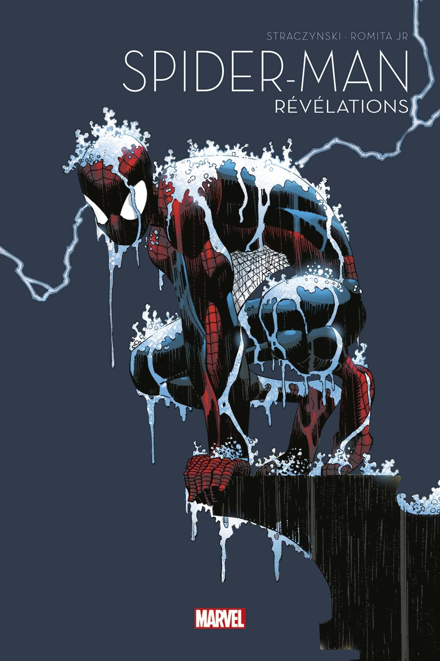 Spider-Man book cover