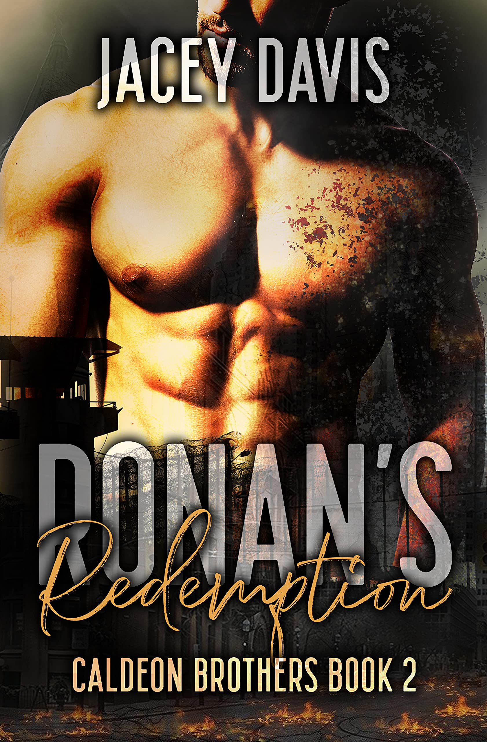Caldeon Brothers book cover 1
