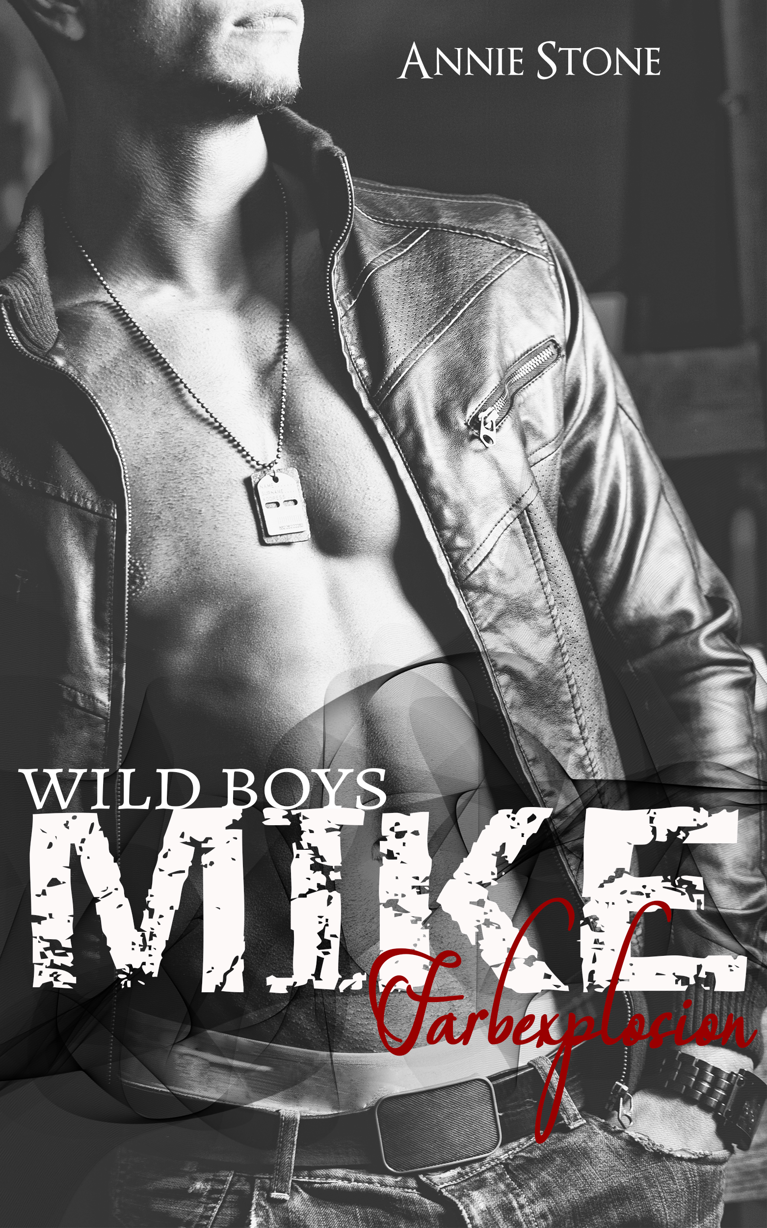 Mike - Farbexplosion book cover