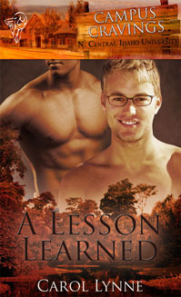 A Lesson Learned book cover
