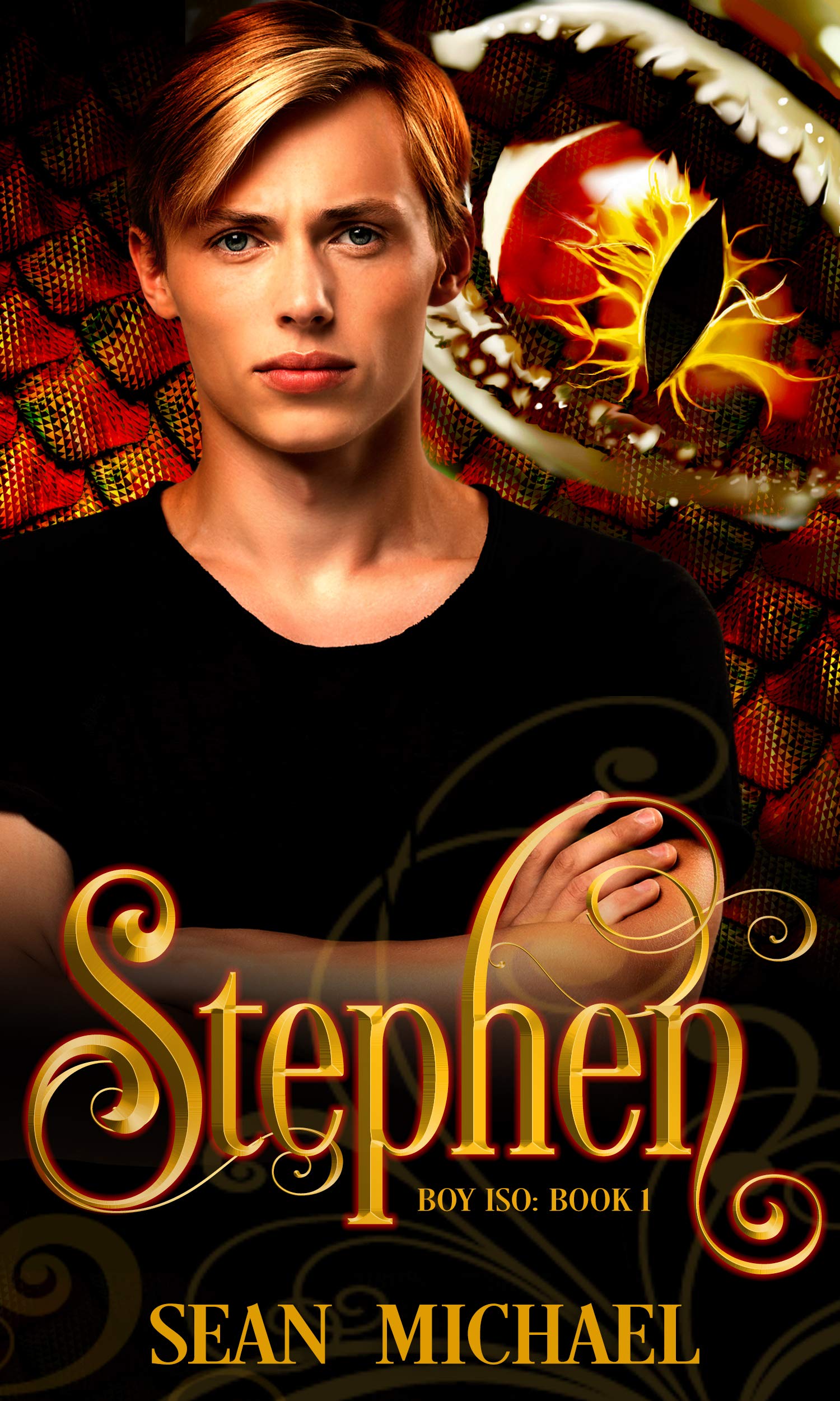 Boy: ISO book cover 1