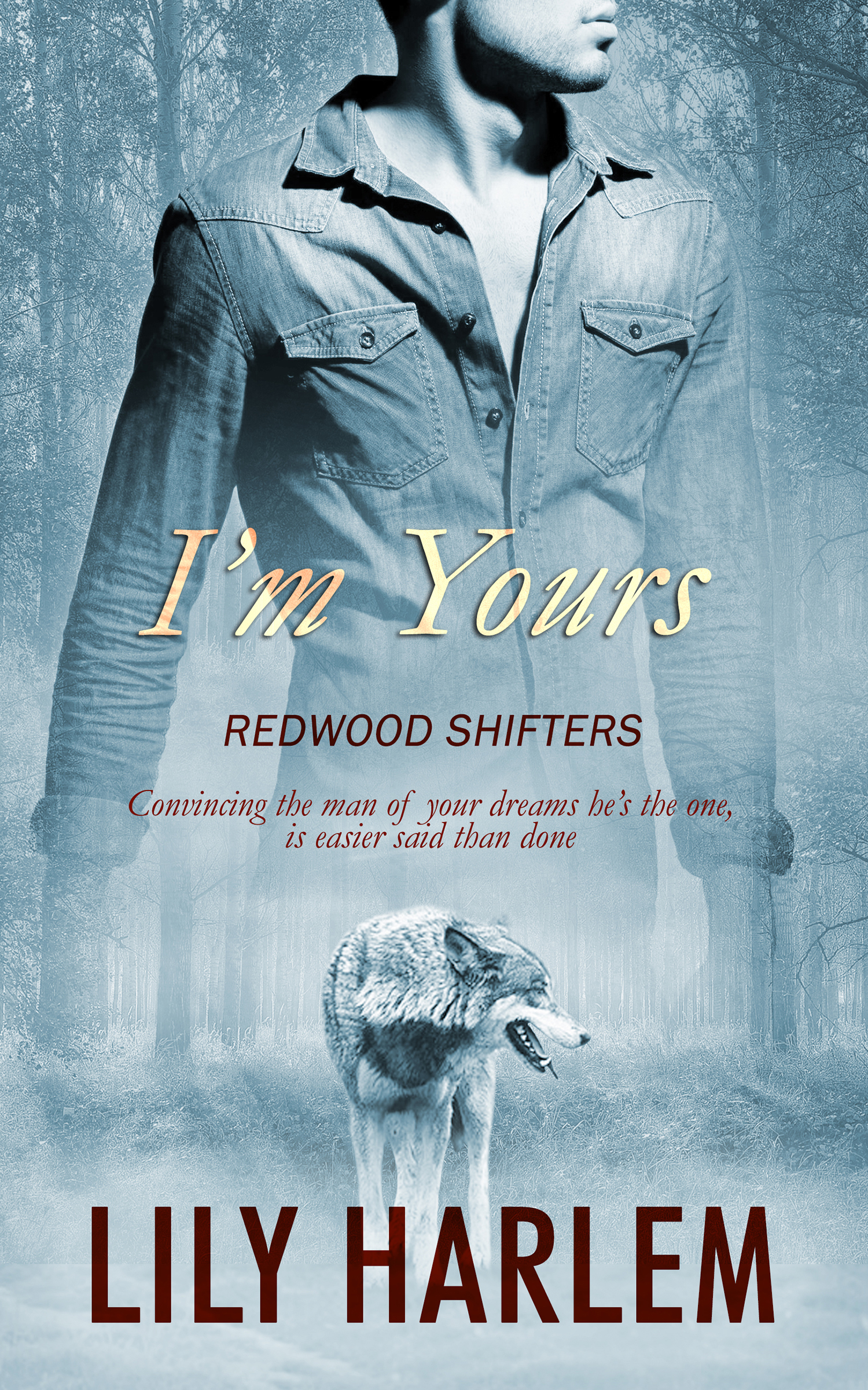 I'm Yours book cover