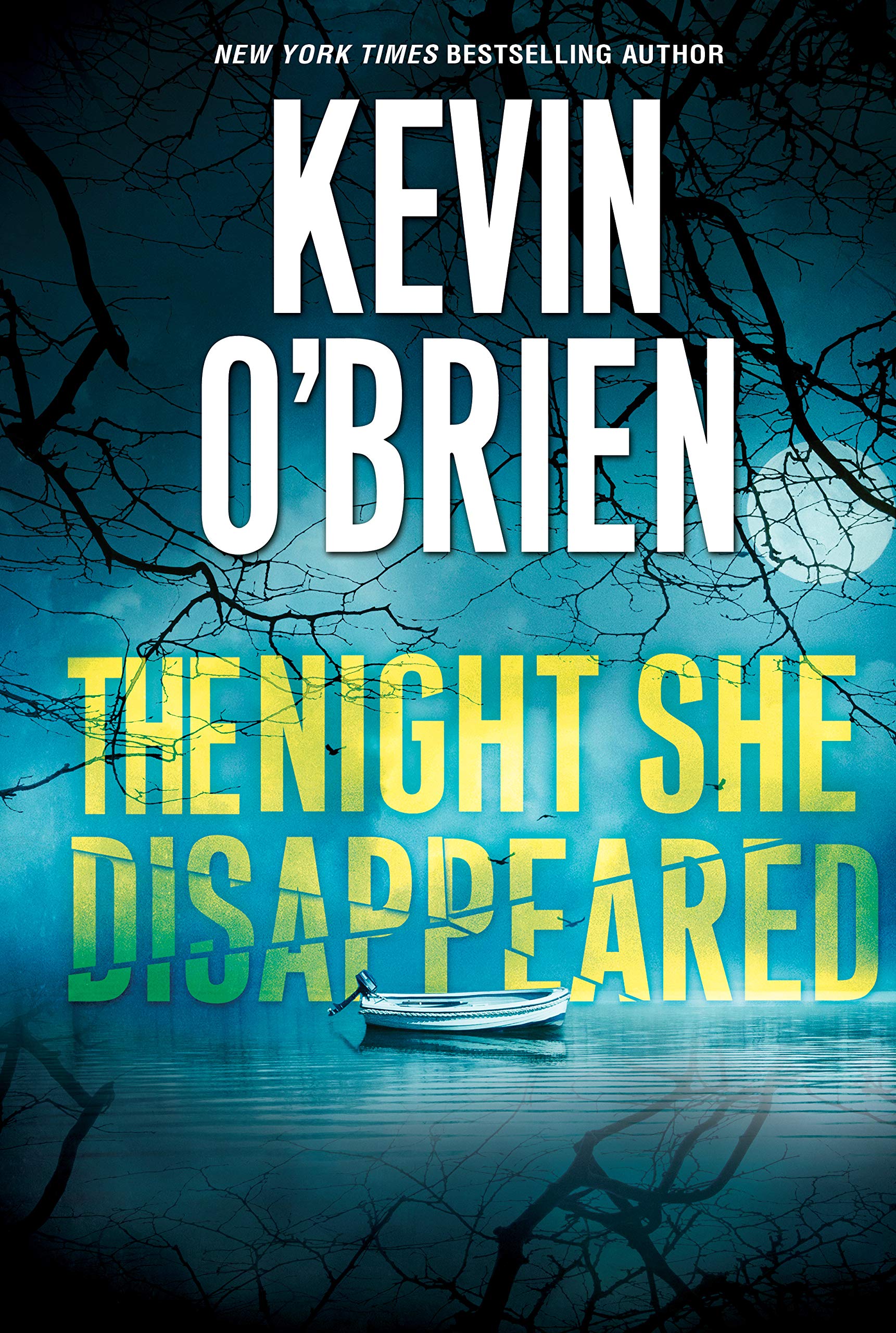 The Night She Disappeared book cover