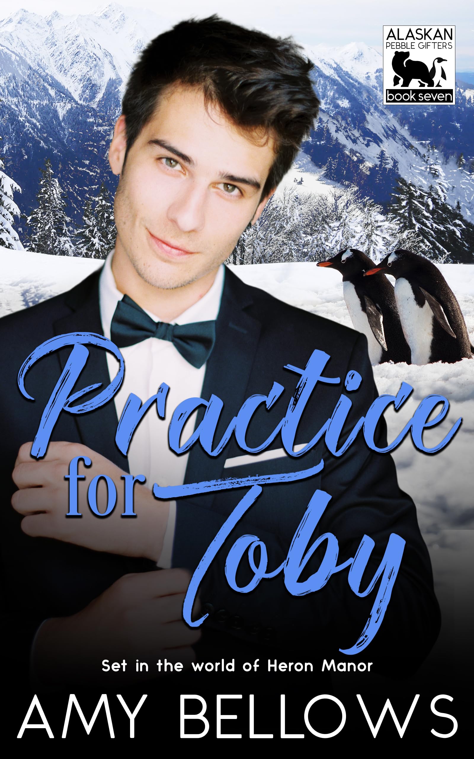 Practice for Toby book cover