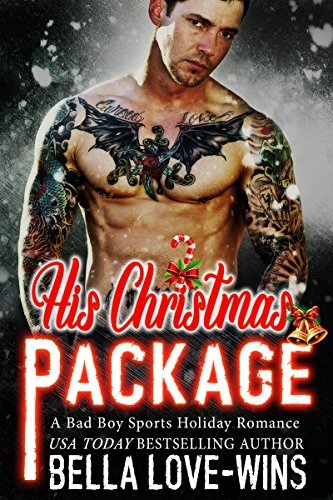 His Christmas Package book cover
