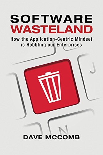 Software Wasteland book cover