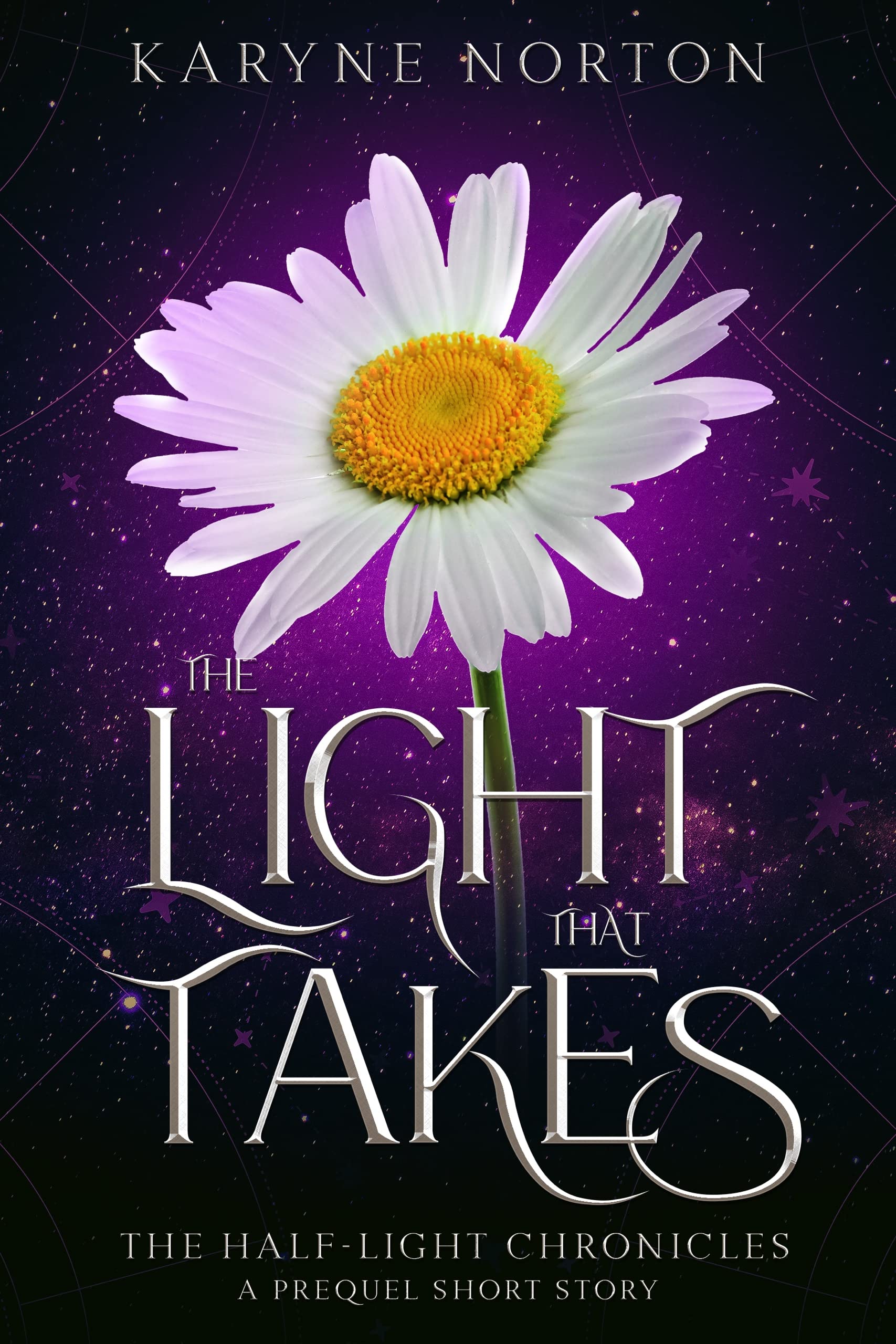 The Light That Takes book cover