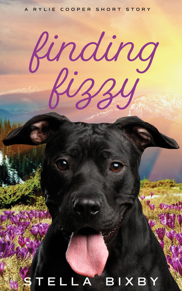 Finding Fizzy book cover