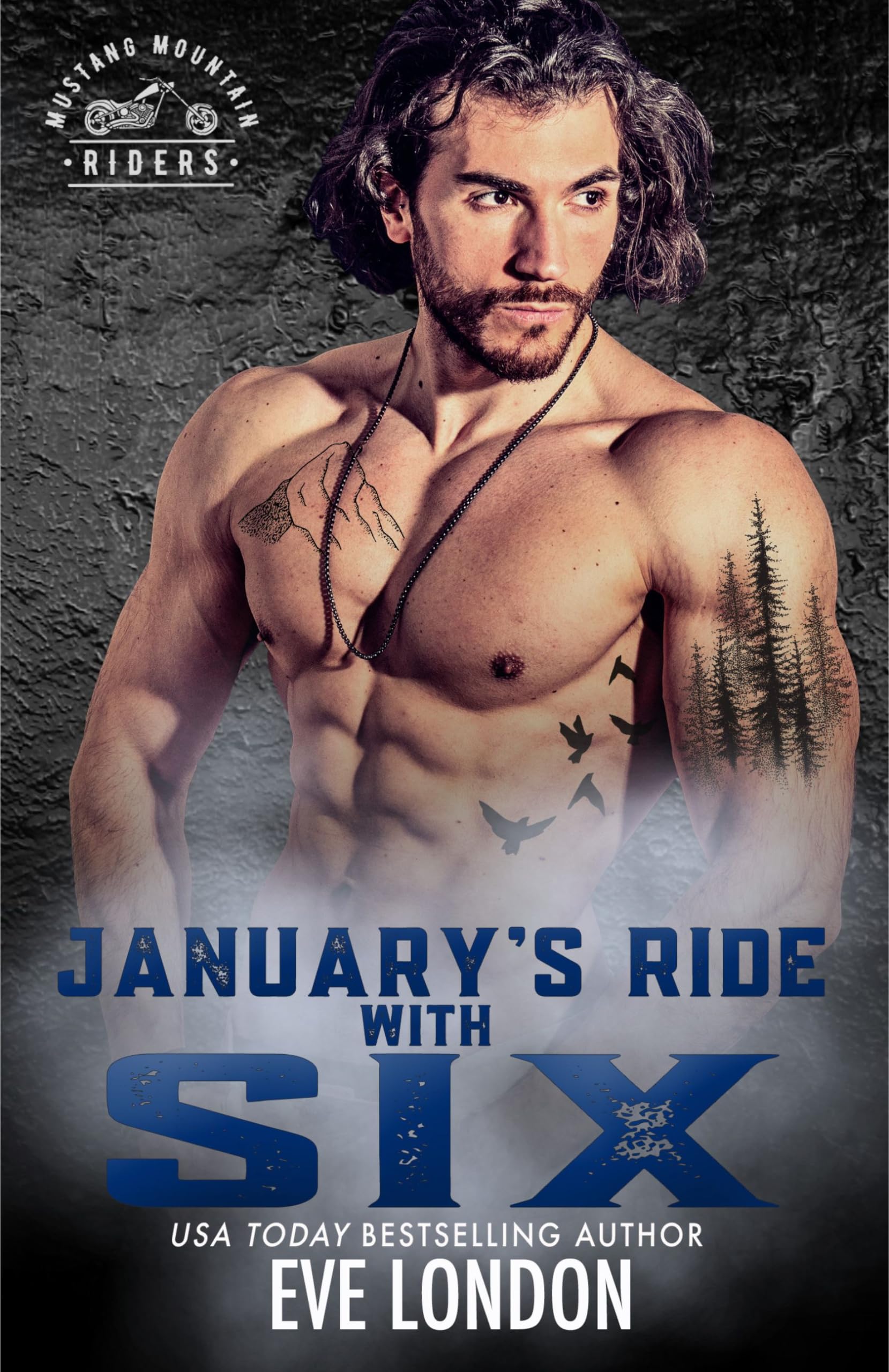 January's Ride with Six book cover