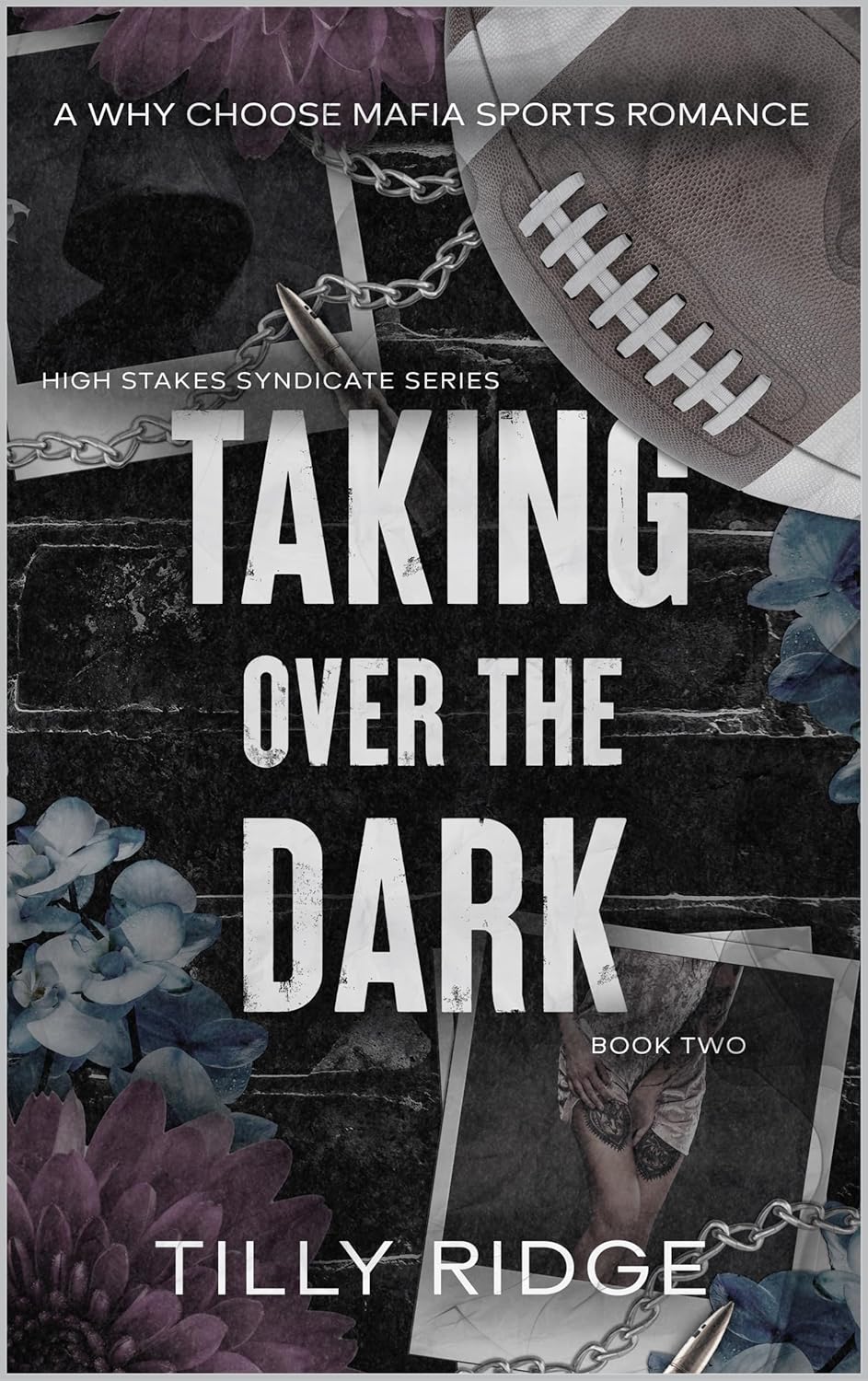 Taking Over the Dark book cover
