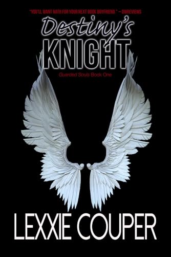 Destiny's Knight book cover