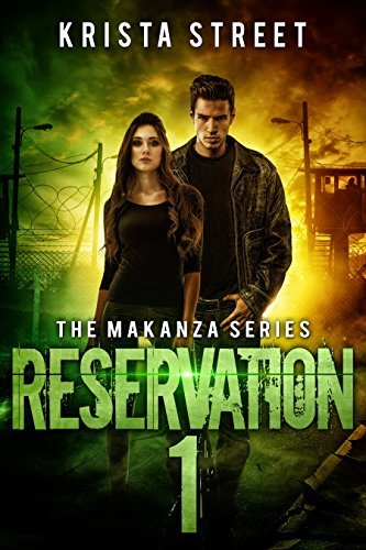 The Makanza book cover 2