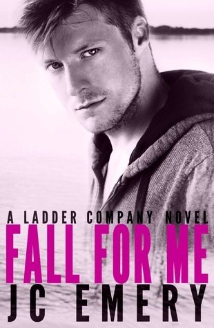 Ladder Company book cover 1