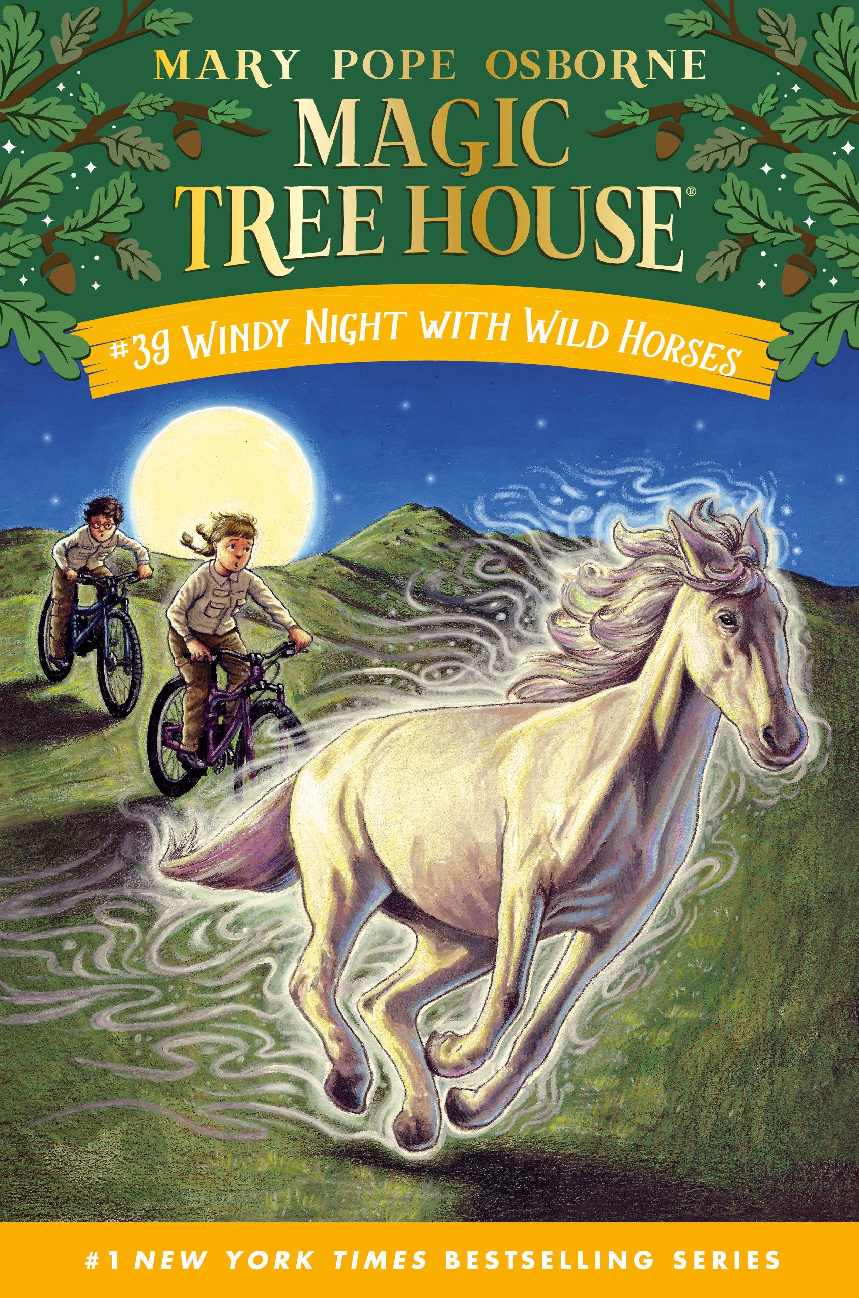 Windy Night with Wild Horses book cover