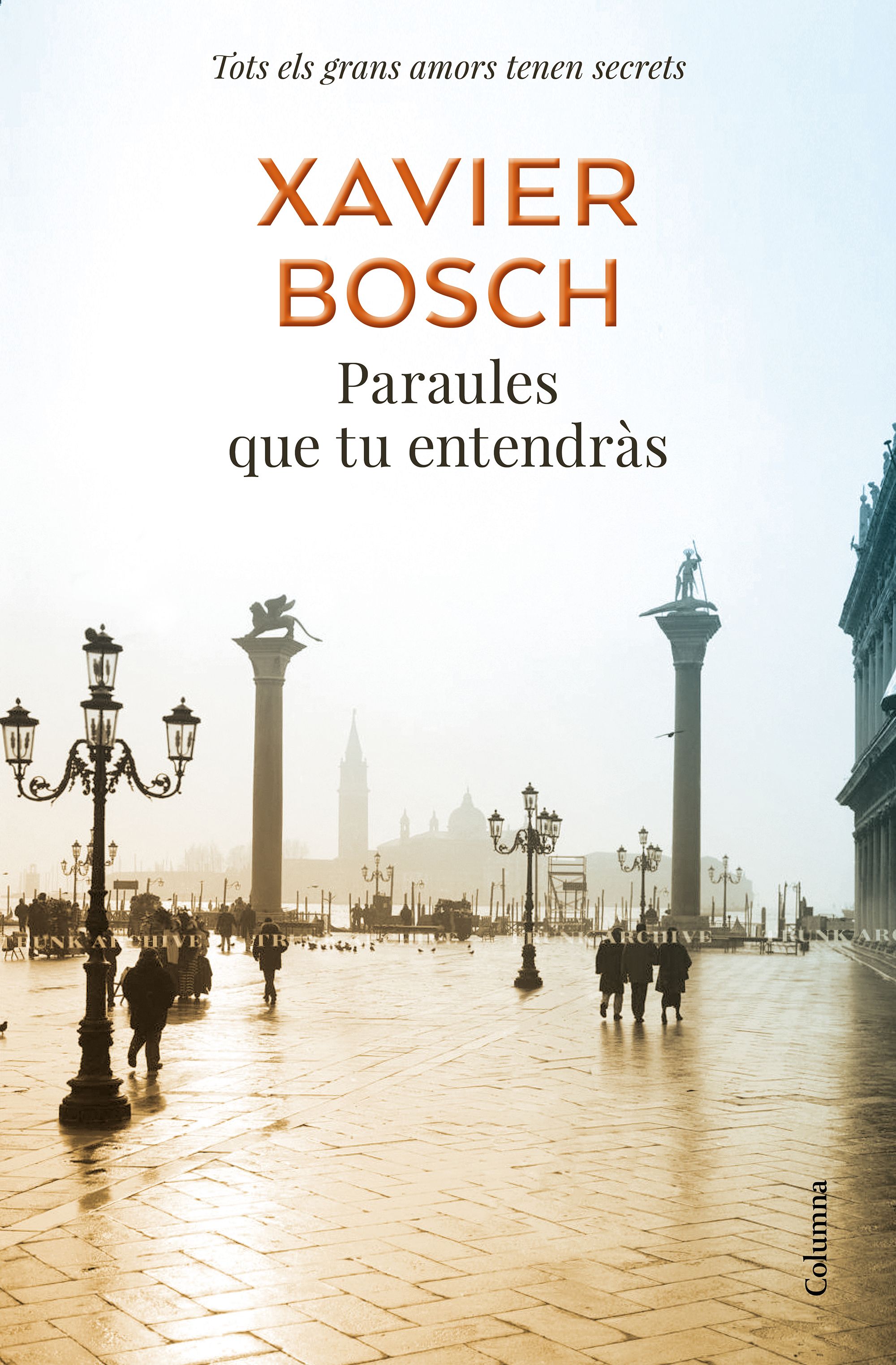 Paraules que tu entendràs book cover