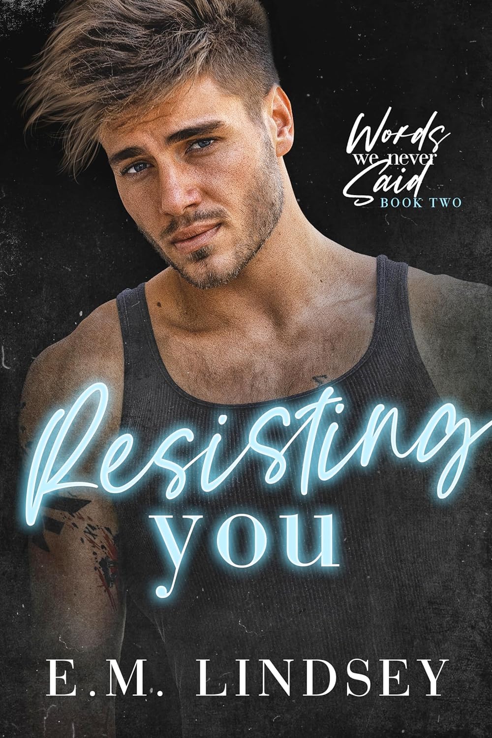 Words We Never Said book cover 2