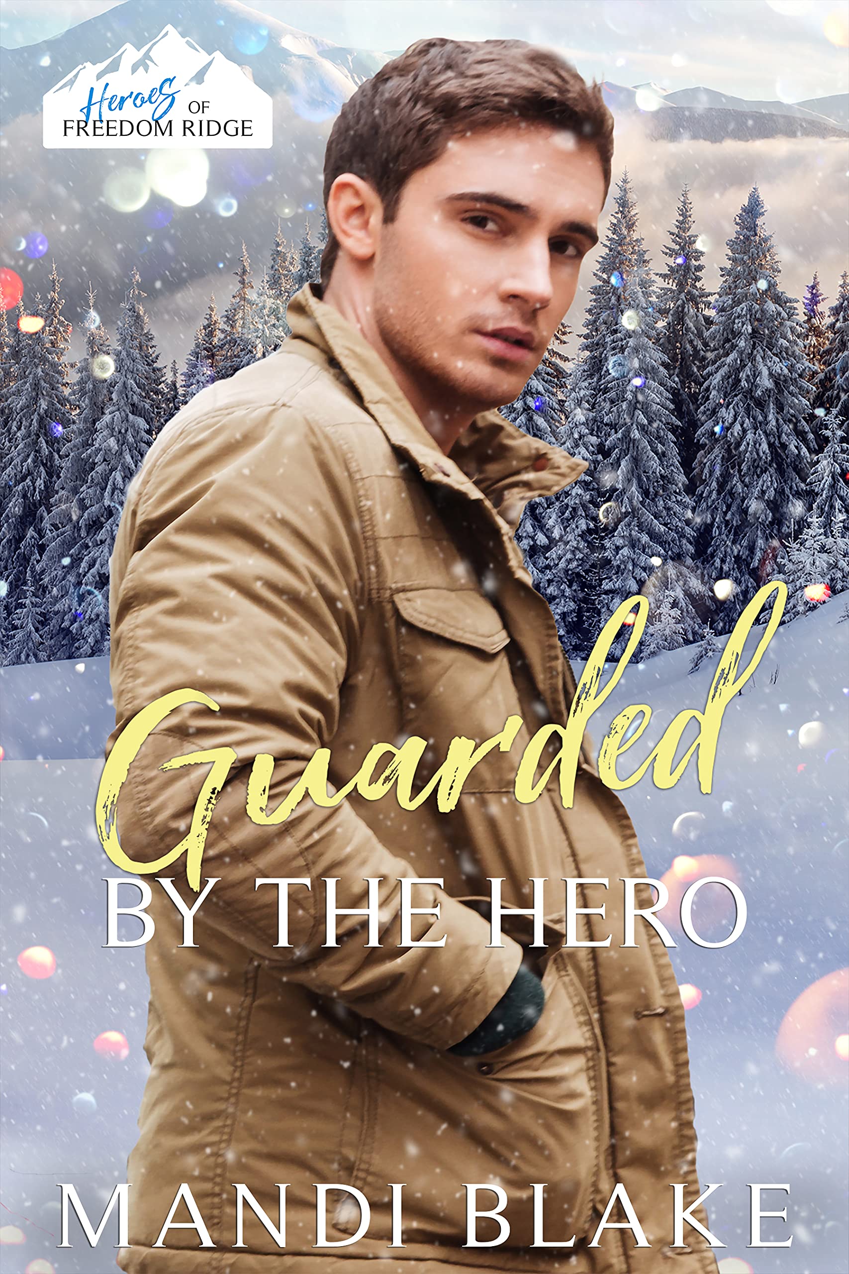 Guarded by the Hero book cover
