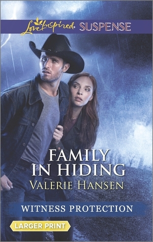 Family in Hiding book cover