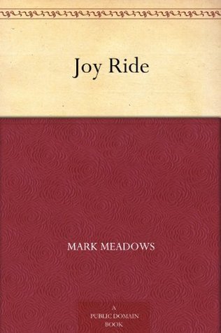 Joy Ride book cover