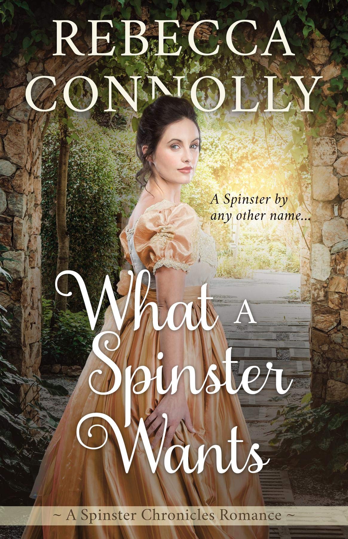 What a Spinster Wants book cover