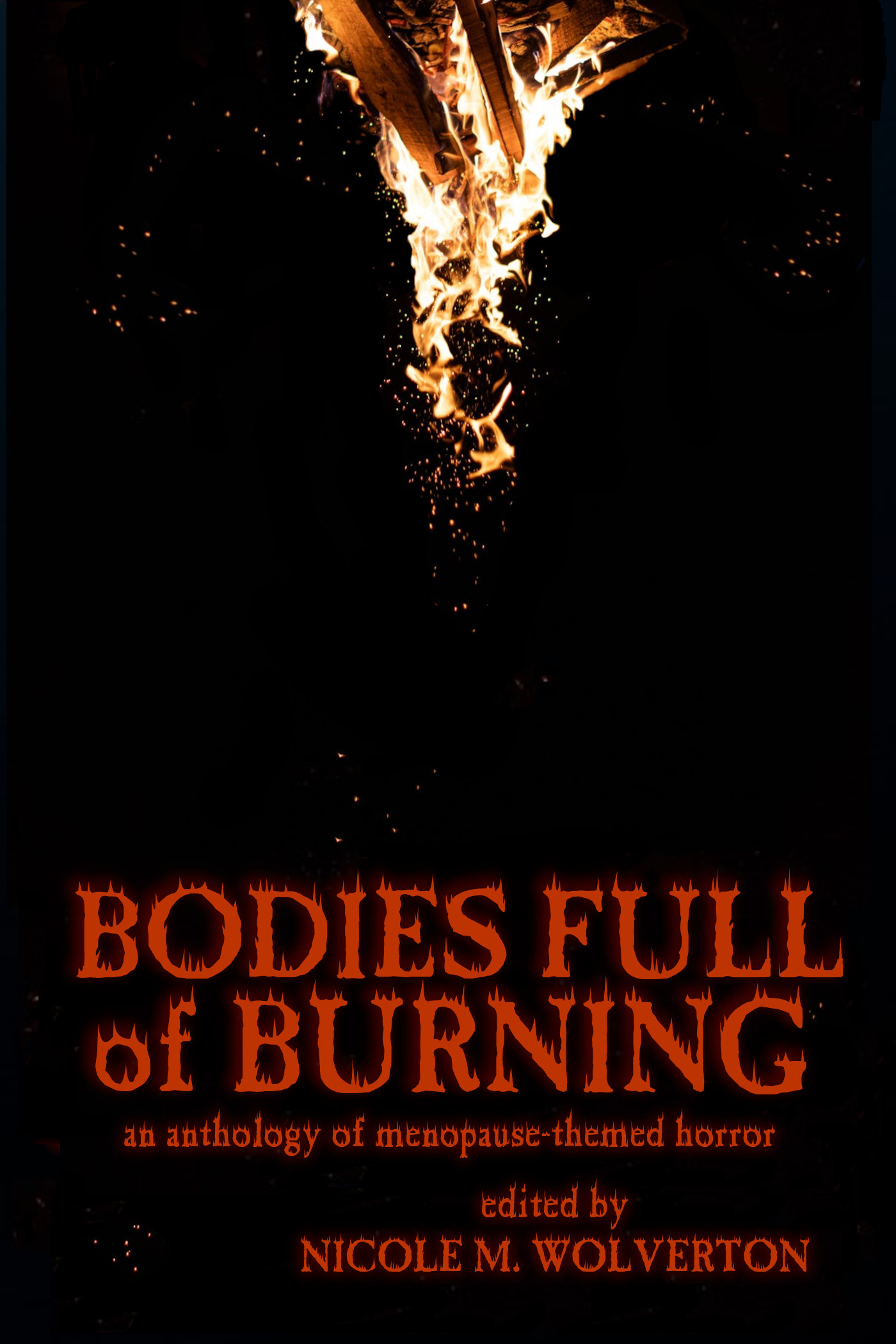 Bodies Full of Burning book cover