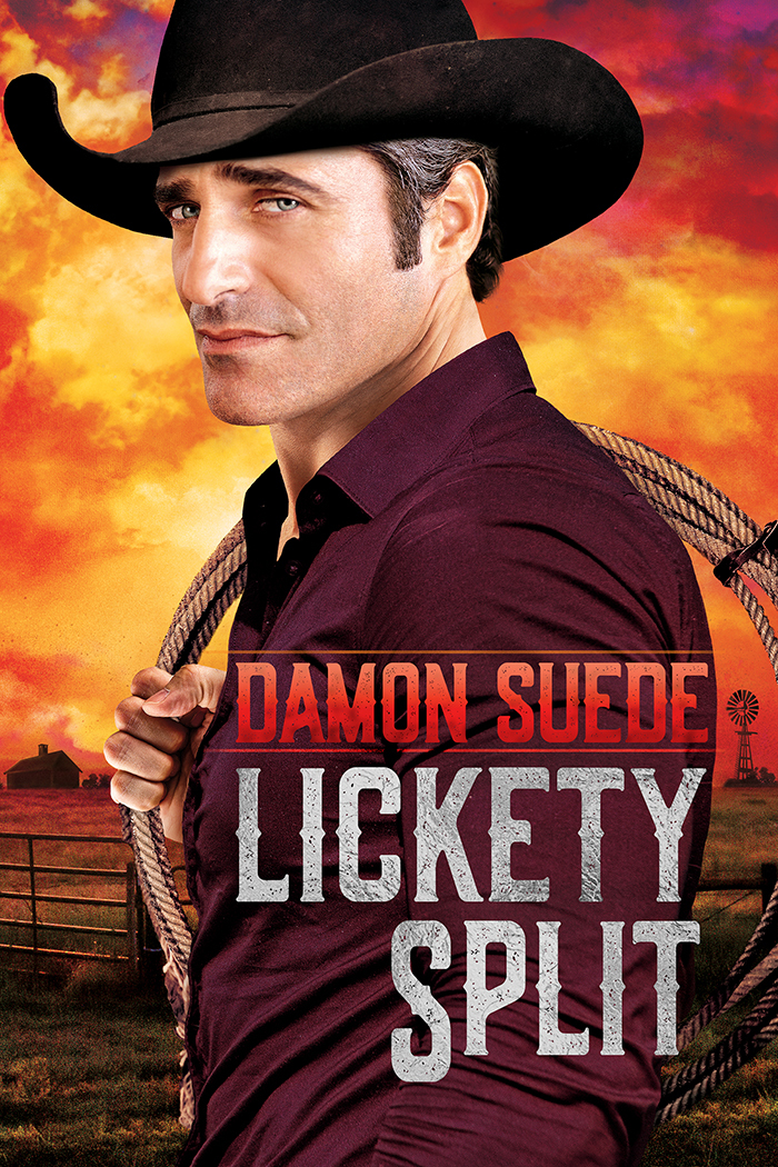 Lickety Split book cover
