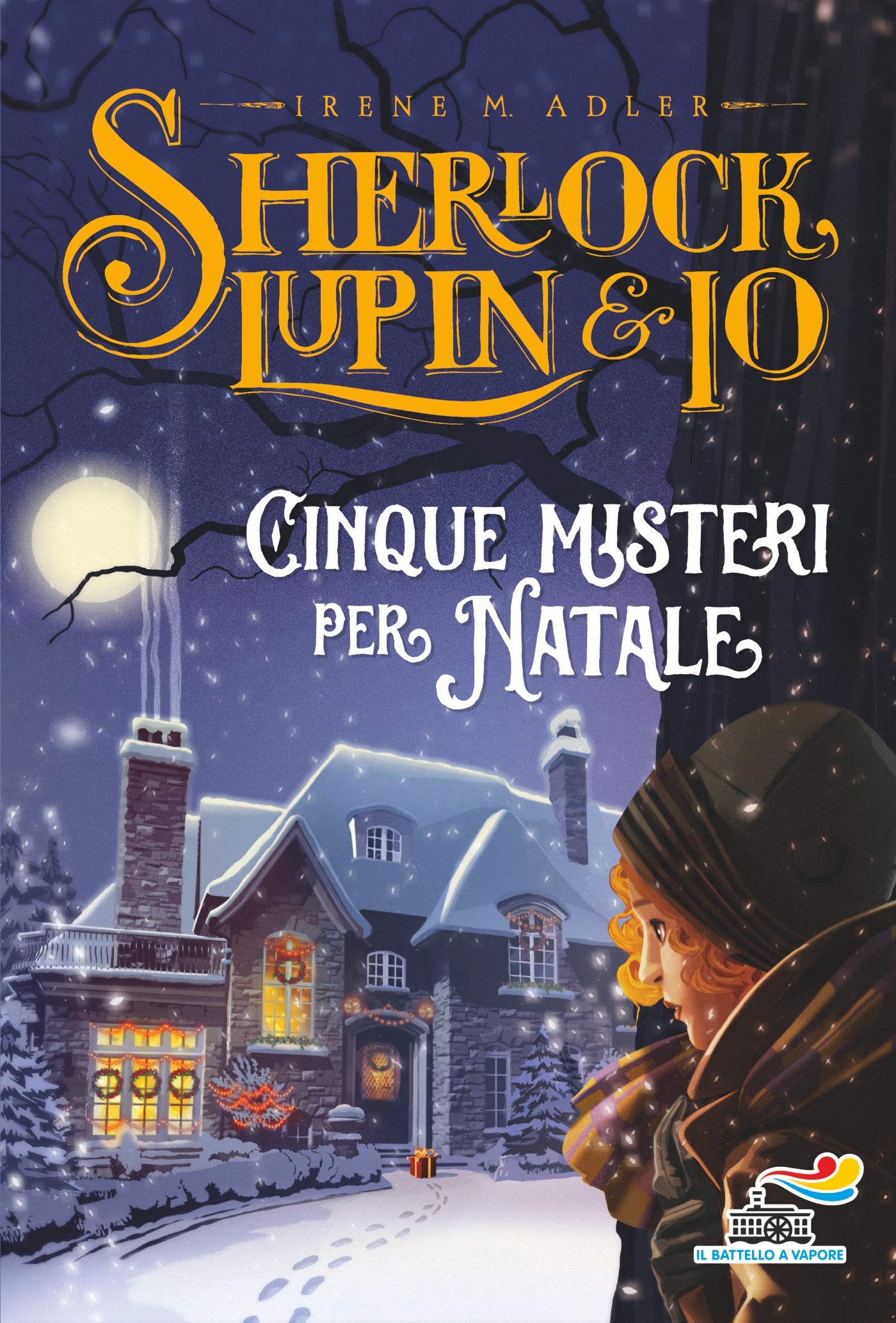 Cinque misteri per Natale book cover