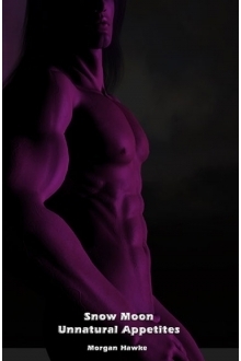 Snow Moon book cover