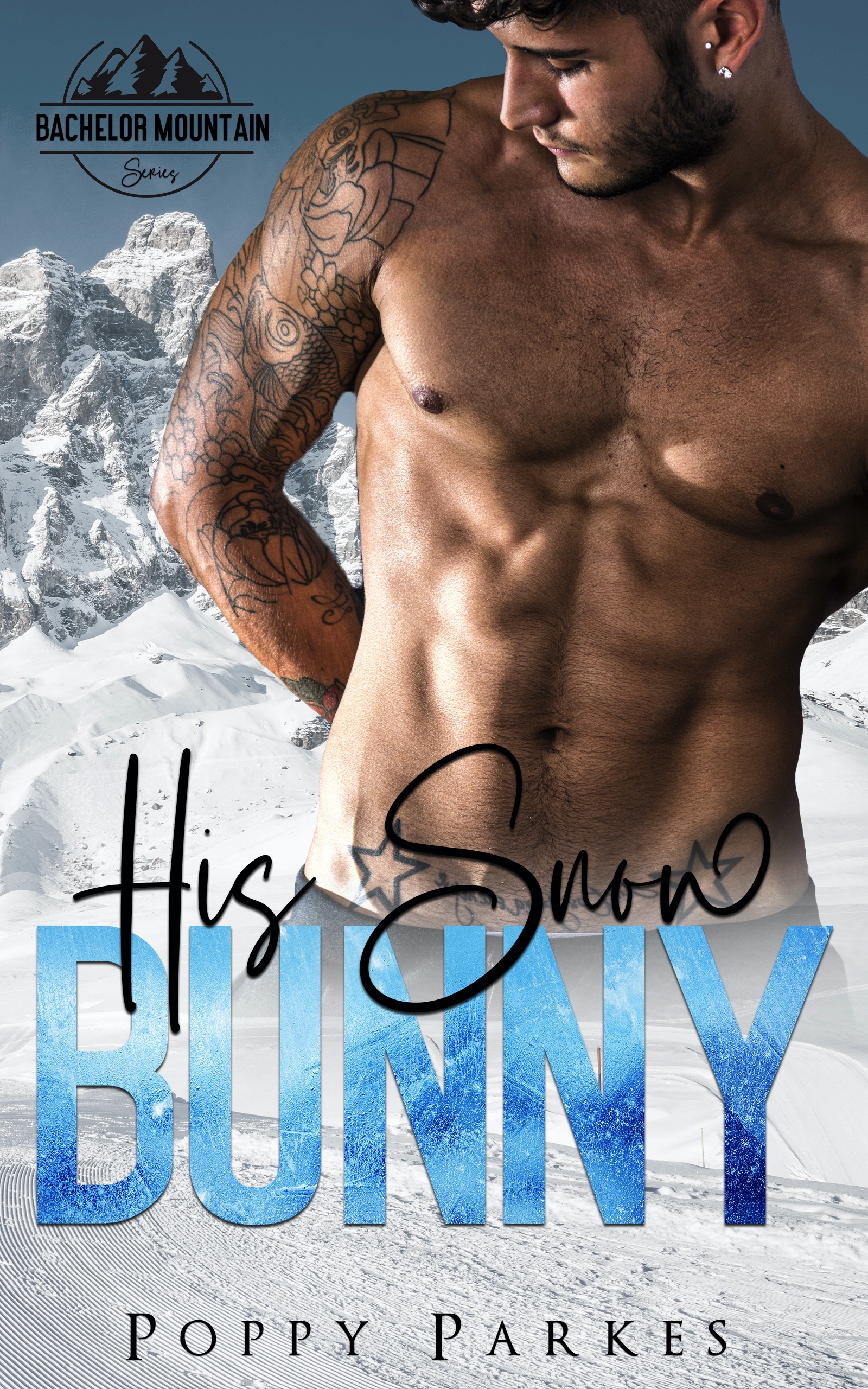His Snow Bunny book cover