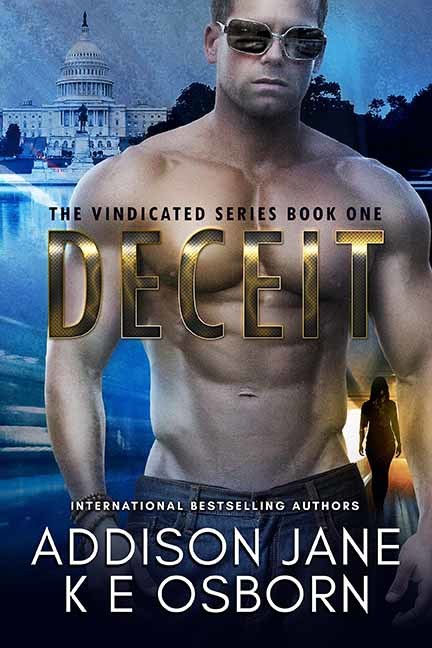 The Vindicated book cover 1