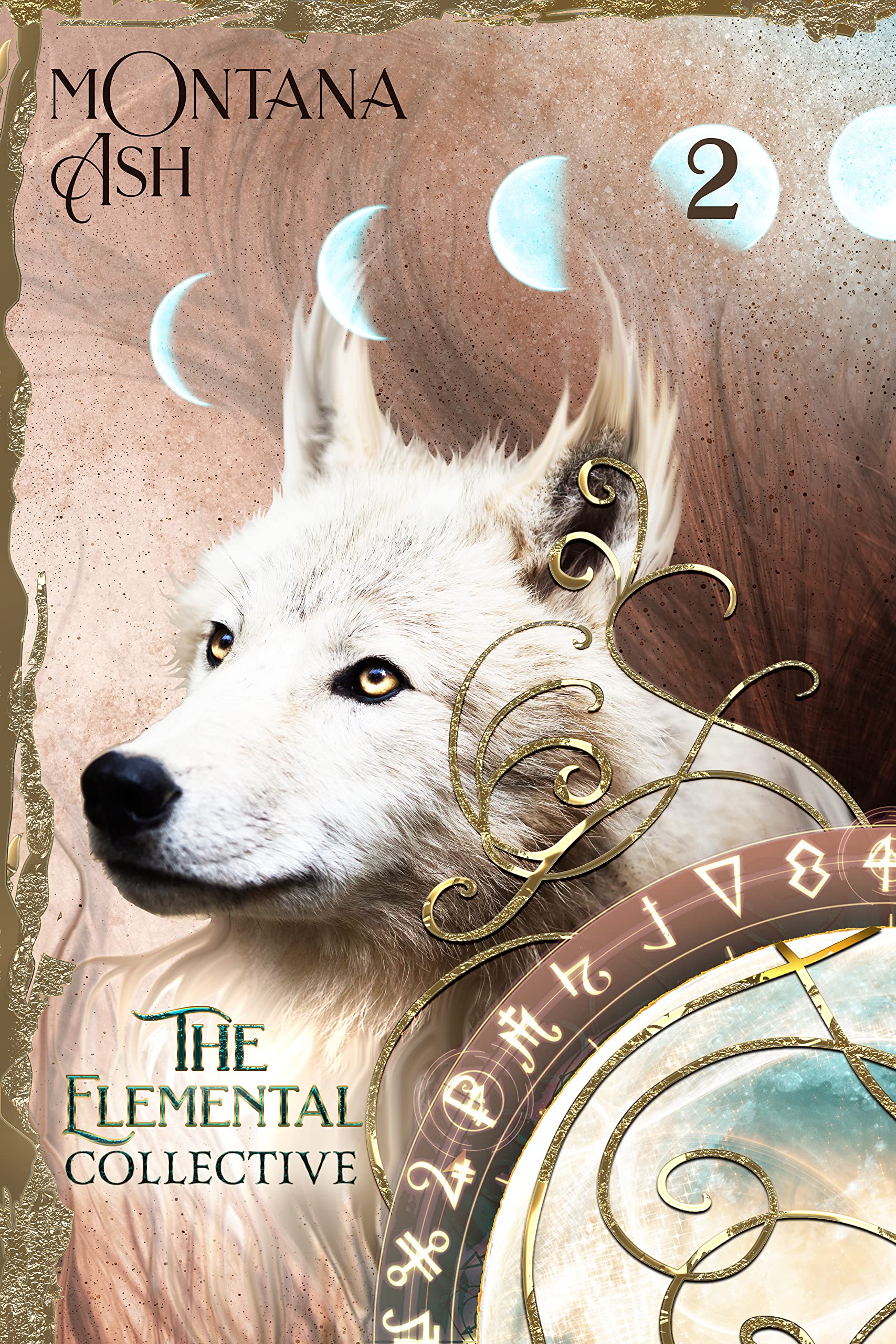 The Elemental Collective book cover 1