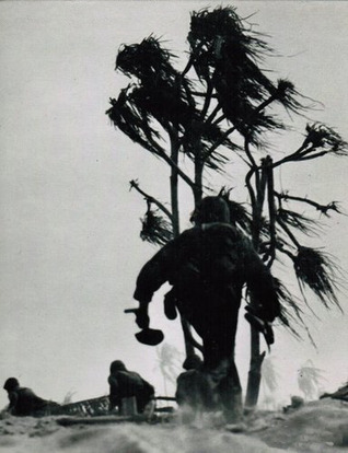 Island Fighting book cover