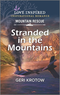 Stranded in the Mountains book cover