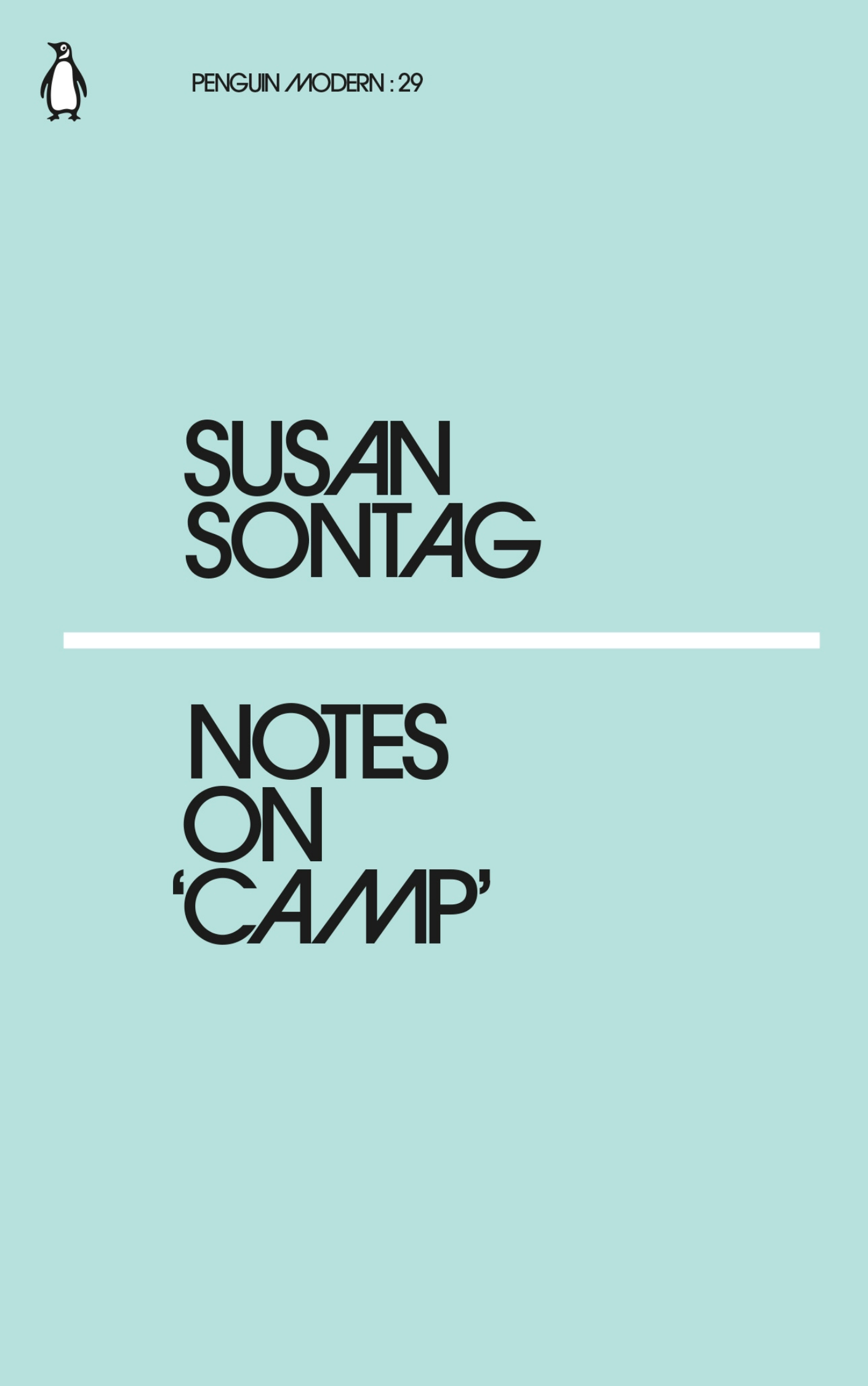 Notes on 'Camp' book cover