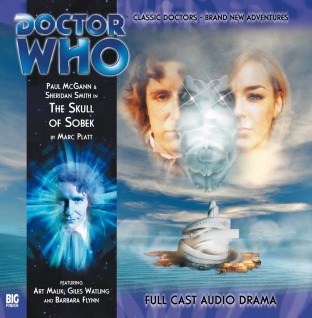 Doctor Who book cover