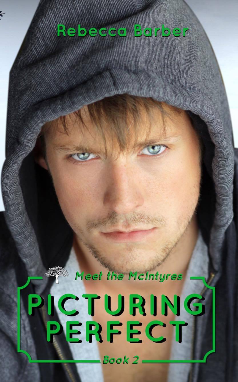 Meet the McIntyres book cover 2