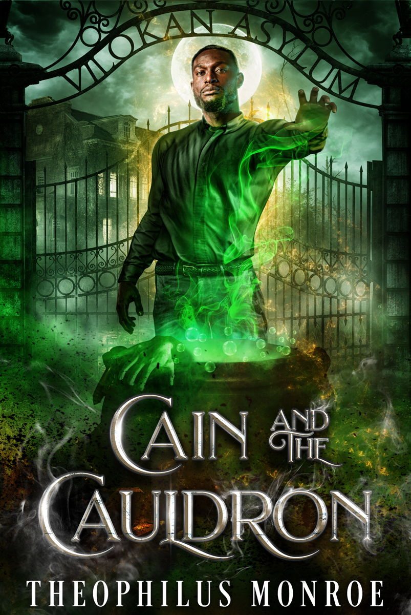 The Vilokan Asylum of the Magically and Mentally Deranged book cover 3