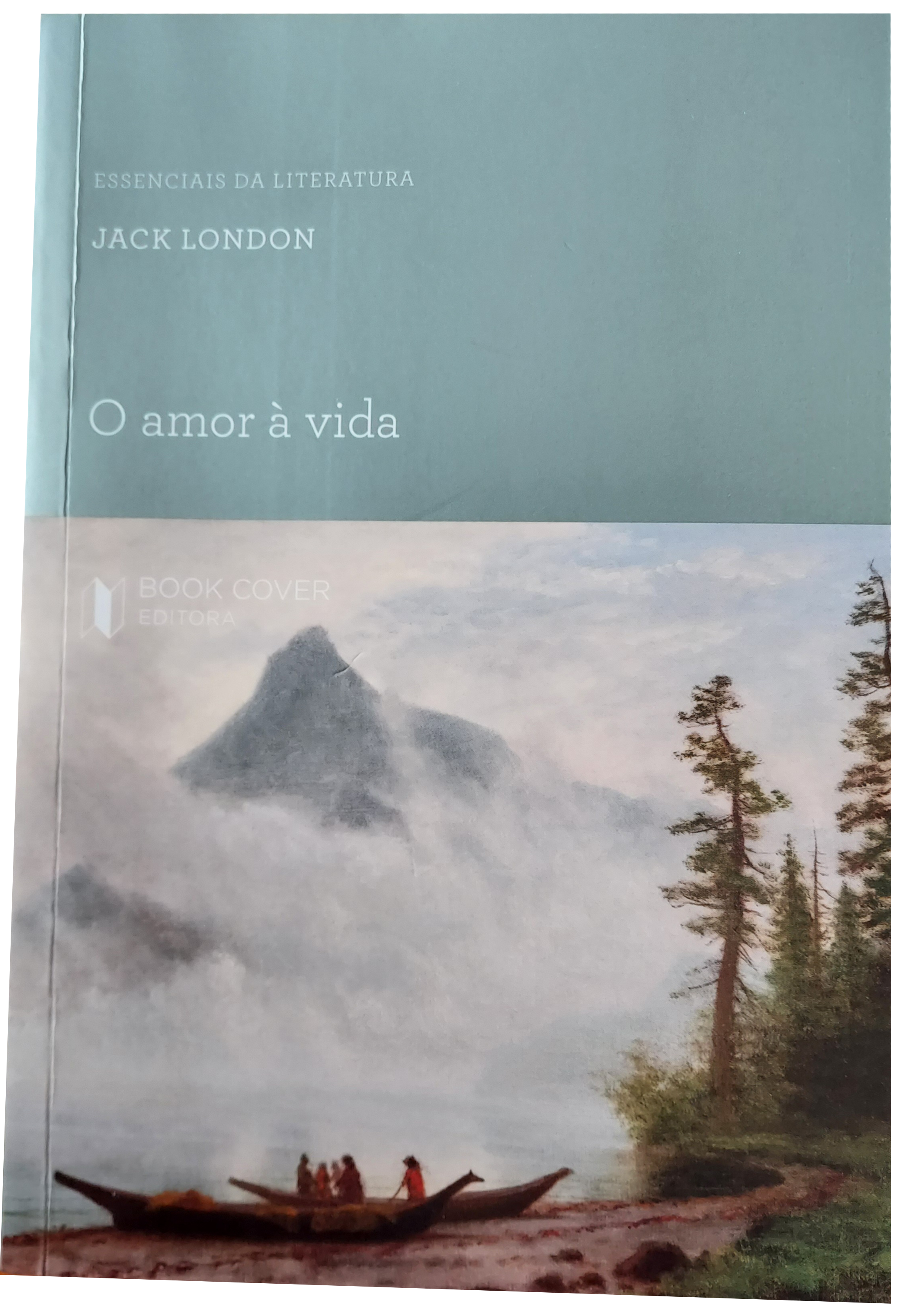 O Amor à Vida book cover
